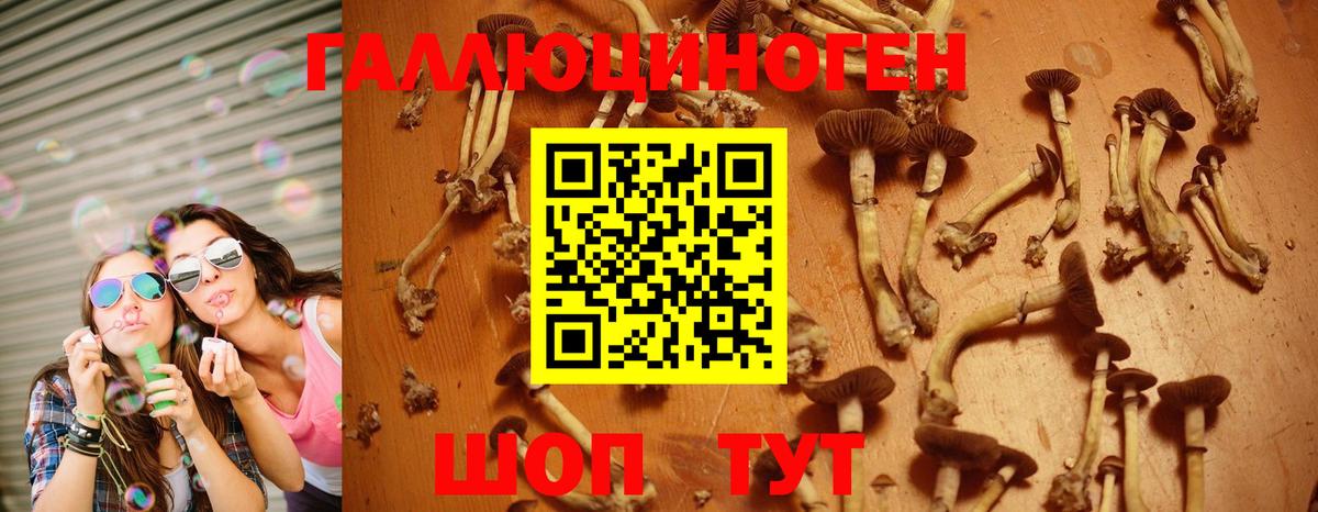 Галлюциногенные грибы прущие грибы Клинцы