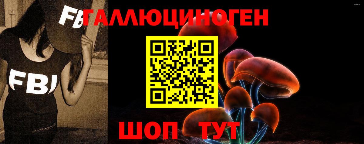 Галлюциногенные грибы мухоморы  Вход с VPN  Клинцы 